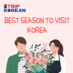 Best season to visit South Korea